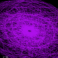 Emily's Fingerprint
