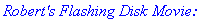 `Robert's Flashing Disk Movie:`
